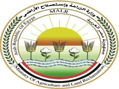 حظر القتل الجماعي والسموم لحيوانات الشارع: ملاحقة قضائية فورية للمخالفين
