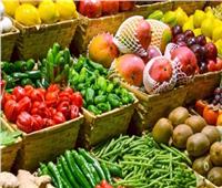 «الزراعة»: ارتفاع صادرات مصر الزراعية لأكثر من 4.3 مليون طن