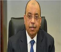 شعراوي: رئيس الوزراء أشاد بإنجازات برنامج التنمية المحلية بالصعيد ووجه بالإسراع في تنفيذ المشروعات