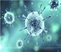 فيروسات نافعة للإنسان ! .. هل سمعت عن المكورات العنقودية ؟