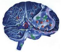 تطوير تكنولوجيا جديدة تمكن العلماء من تحديد البروتينات داخل الدماغ