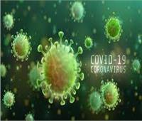 "الصحة العالمية": حصيلة الإصابة بكورونا زادت عالميا خلال شهرين بأكثر من 4.4 مليون حالة