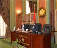 شكري يطالب رؤساء البعثات بالخارج بالترويج لما تشهده مصر من طفرة إقتصادية