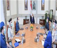 الرئيس يوجه بالتنسيق الكامل بين مختلف جهات الدولة لتحقيق أكبر عائد من مشروع مستقبل مصر