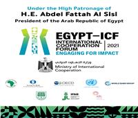 منتدى مصر للتعاون الدولي يبحث  جهود إعادة البناء ما بعد كوفيد 19