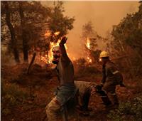 الجزائر: غرس 1.5 مليون شجرة تخليداً لـ«شهداء الحرائق»