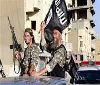 الأردن يحبط مخططا لتنظيم داعش الإرهابي