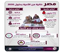 معلومات الوزراء  مصر خاليه من الاميه 2030