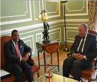 مصر تؤكد ثقتها في قيادة الكونغو لمفاوضات سد النهضة 