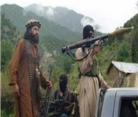 طالبان تنفي وجود تنظيم القاعدة في أفغانستان