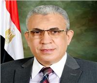 عبدالفضيل: بدء تنفيذ الخطوات العملية لإيفاد العمالة المصرية إلى ليبيا
