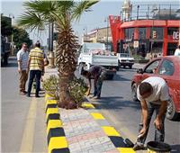 حملات نظافة وتجميل بشوارع مدينة بني سويف