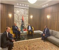 مصر تشارك في المؤتمر الوزاري الدولي لدعم استقرار ليبيا 