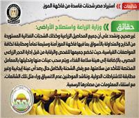 معلومات الوزراء: لا صحه لاستيراد مصر شحنات فاسدة من الموز