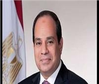 السيسي يبحث سبل دفع العلاقات  بين مصر وهولندا فى مختلف المجالات 