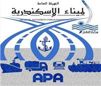 انتظام حركة الصادرات والواردات وتداول الحاويات بموانئ الإسكندرية 