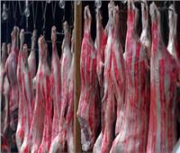 استقرار أسعار اللحوم الحمراء.. 130 جنيهًا للكندوز