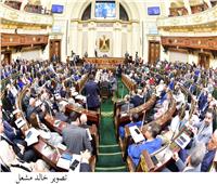 «سيول اسوان » تتصدر مناقشات البرلمان