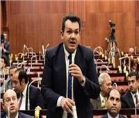 برلمانية «حماة الوطن» تنعى النائب أحمد زيدان