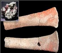 علماء يكتشفون أول دليل على التسمم بالزئبق في عظام بشرية عمرها 5000 عام