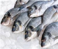 التموين تطلق منافذ متنقلة لبيع الأسماك واللحوم بتخفيضات 20%