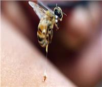 سم نحل العسل يدمر خلايا سرطان الثدي في غضون ساعة