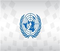 الأمم المتحدة تحتفل باليوم العالمى لحقوق الإنسان 
