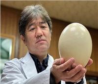 كمامة من بيض النعام في اليابان  للكشف عن كورونا