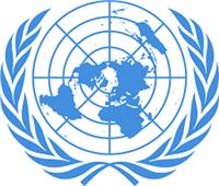 حقوقى يتبع الأمم المتحدة يدعو لمحاسبة إسرائيل على إحتلال فلسطين 54 عاما