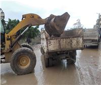 نقل ٣٤٤٠ طن مخلفات لمصانع التدوير خلال حملات نظافة بالبحيرة