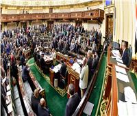 البرلمان يقر من حيث المبدأ مشروع قانون بدمج صندوق تحسين الأقطان المصرية في "معهد بحوث القطن" 