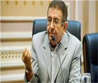 رئيس الشؤون العربيه بالبرلمان : استمرار التطوير بالقاهرة التاريخية يعيد الوجه الحضاري للعاصمة