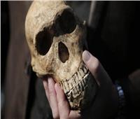 دراسة حديثة تؤكد: أقدم حفريات الإنسان العاقل أقدم بكثير من المعروف