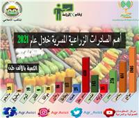 بالإنفوجراف .. أهم أرقام الصادرات الزراعية المصرية في 2021 .