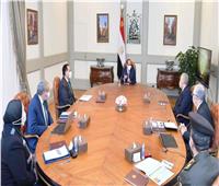 استعراض الموقف التنفيذي لمشروعات الأمن الغذائي في اجتماع الرئيس السيسي مع «الوزراء»