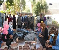 محافظة قنا تتابع برنامج «التمكين الاجتماعي والاقتصادي» للفتيات في صعيد مصر 