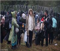 مسؤولة ألمانية تدعو حكومتها لقبول المهاجرين العالقين على حدود بيلاروس وبولندا