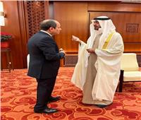 العلاقات بين الإمارات ومصر «نموذجية»