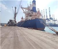 للمرة الأولى بالموانئ المصرية دي بي ورلد السخنة تستقبل إحدى أكبر سفن الصب في العالم