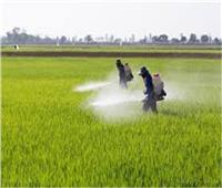 توصيات «الزراعة» للمزارعين خلال رش المبيدات.. تعرف عليها 