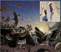  اكتشاف طائر بـ”ذقن متحرك” فى الصين منذ 120 مليون سنة