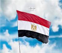 اختيار مصر لعضوية مكتب الهيئة الحكومية الدولية 