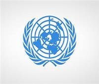 جلسة إستثنائية بـ"الأمم المتحدة" لصون السلم والأمن الدوليين 