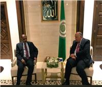 وزيرالخارجية السودانى يلتقى سامح شكرى لتعزيز التعاون المشترك