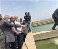  وزير الزراعة ومحافظ أسوان يتفقدان مفرخ جرف حسين السمكي 