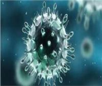 هل فيروس كورونا مُخلق معمليا؟ خبراء يوضحون