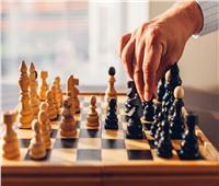 اللجنة الأولمبية تعتمد نتيجة انتخابات مجلس إدارة الشطرنج