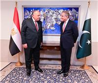 مصر تؤكد حرصها على دفع التعاون مع باكستان