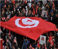 الرئيس التونسي: بإمكان الجميع التعبير عن رأيه بشأن النظام السياسي الجديد
