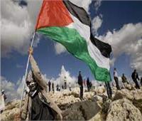 «يوم الأرض» .. ذكرى خالدة واحتجاجات ضد الاحتلال الإسرائيلى